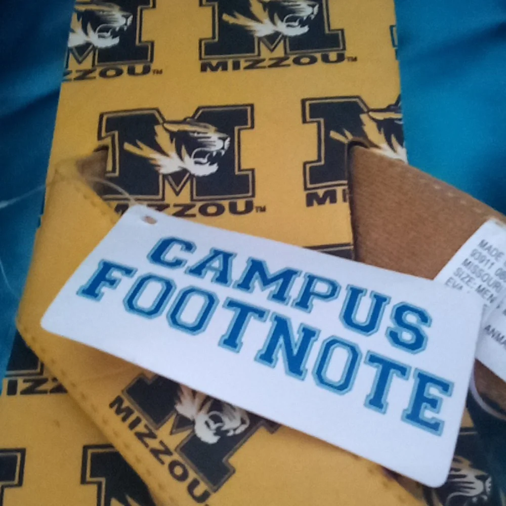 Campus Footnote new mizzou